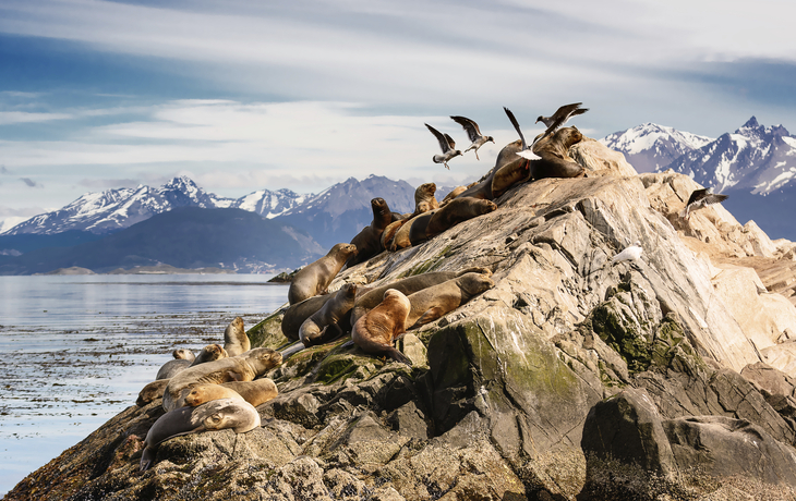 Beagle Kanal, Argentinien
