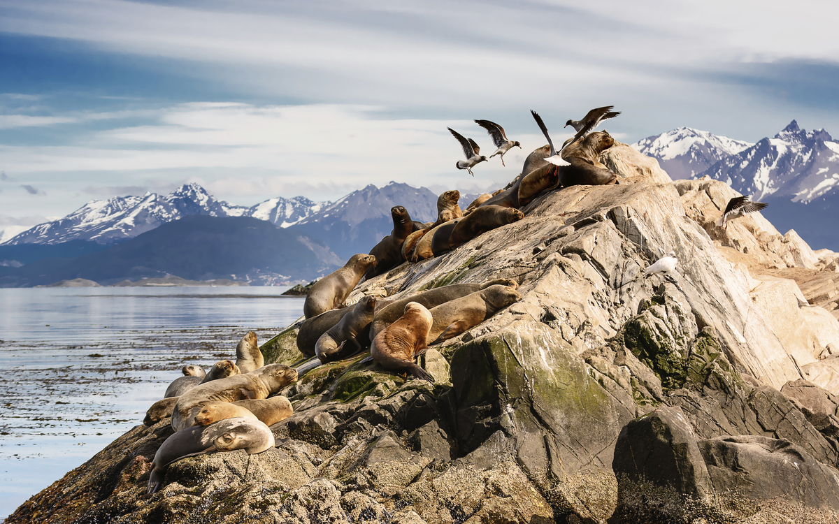 Beagle Kanal, Argentinien