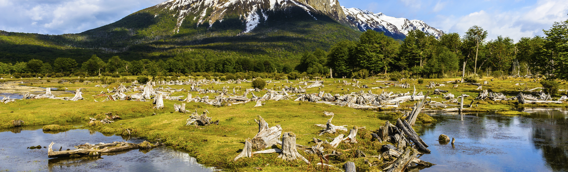 Nationalpark tierra del Fuego in Argentinien