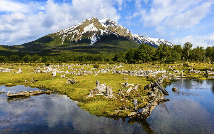 Nationalpark tierra del Fuego in Argentinien