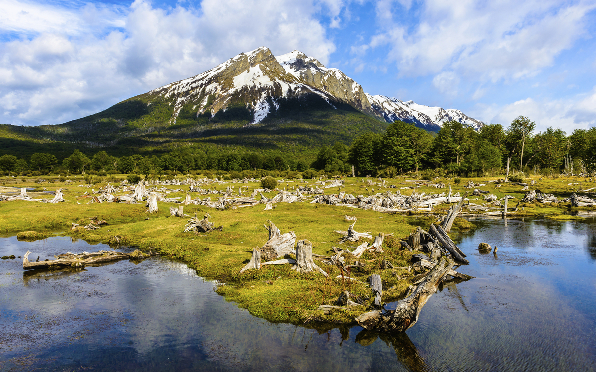 Nationalpark tierra del Fuego in Argentinien
