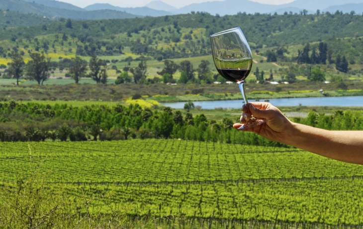 Weingut im Casablanca Tal