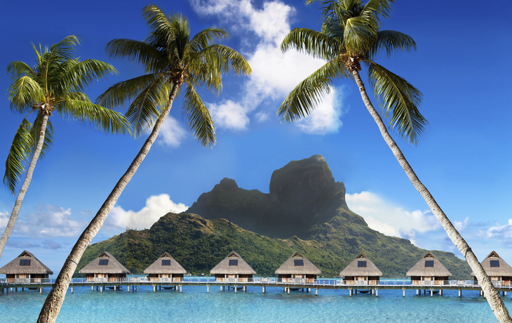 Palmen am wunderchönen Strand von Bora Bora