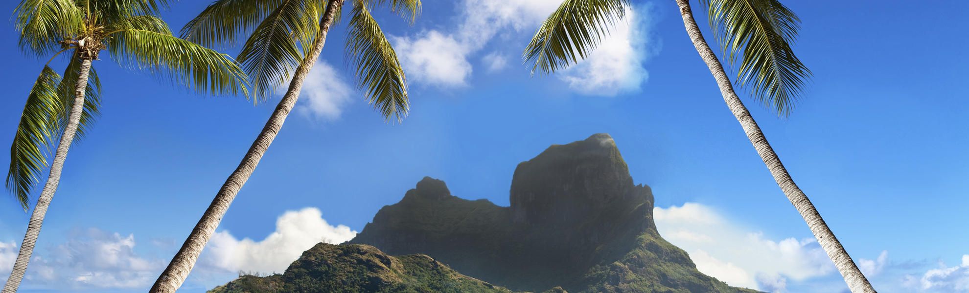 Palmen am wunderchönen Strand von Bora Bora