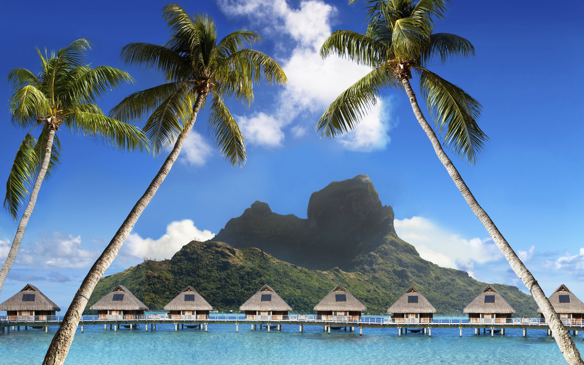 Palmen am wunderchönen Strand von Bora Bora