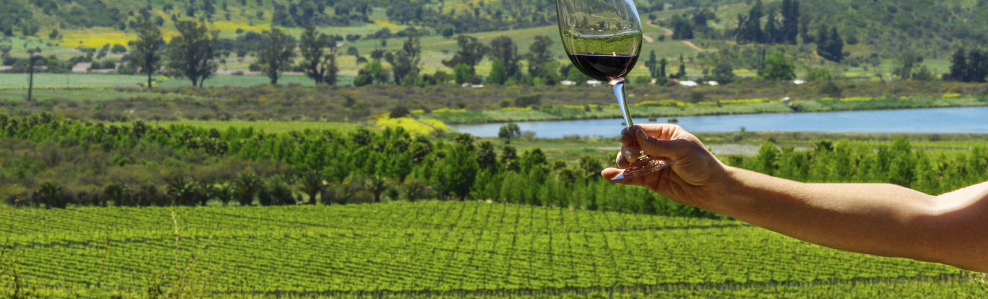 Weingut im Casablanca Tal