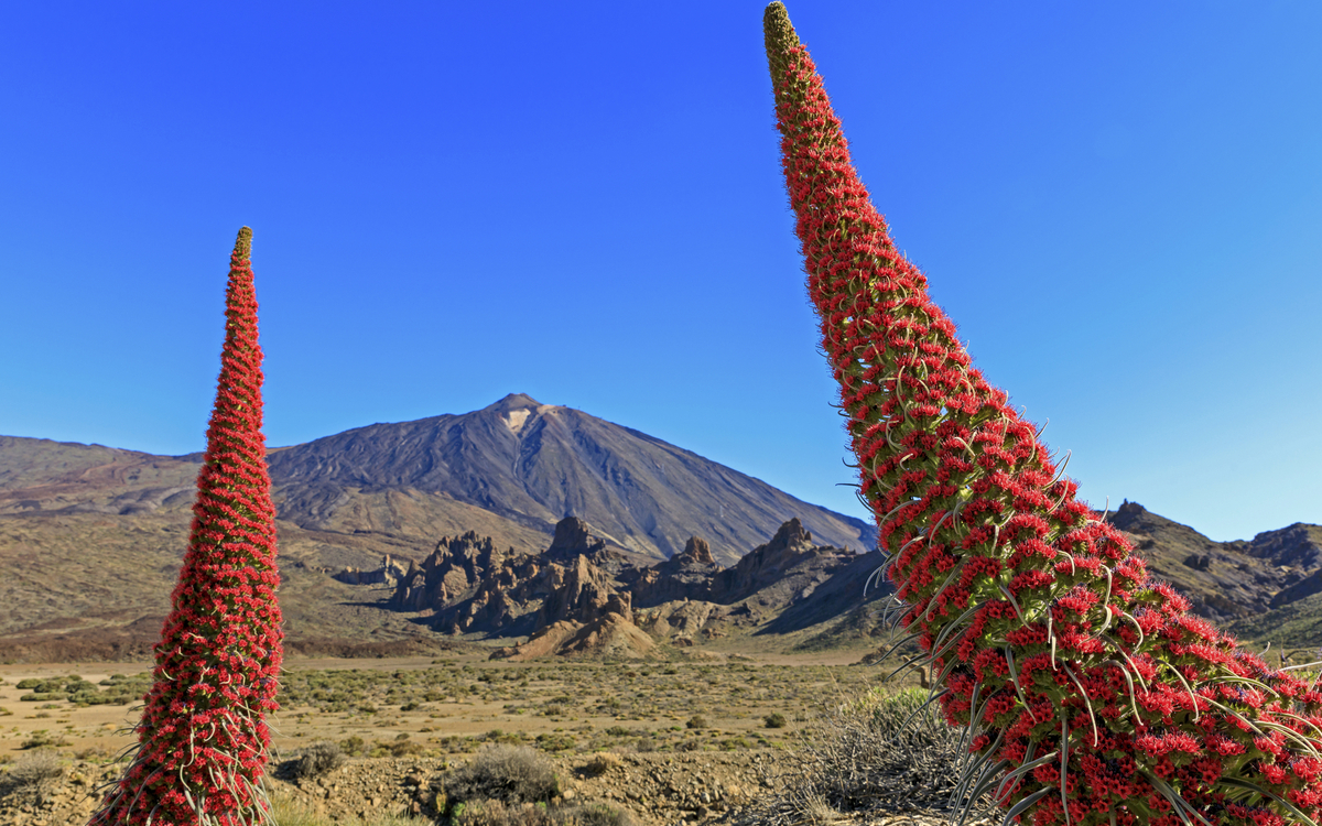 Teneriffa, Nationalpark del Teide