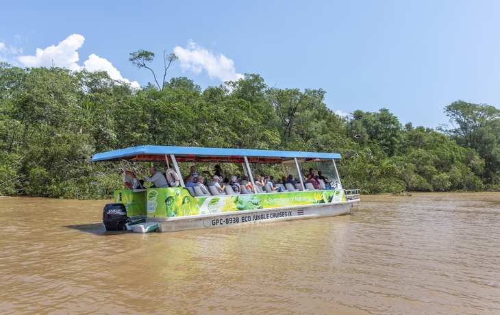 Puntarenas, Mangroventour