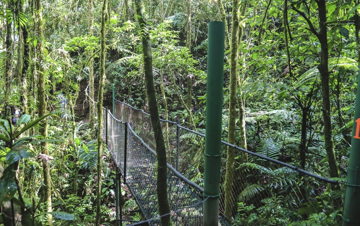 Puntarenas, Ausflug ins Naturschutzgebiet