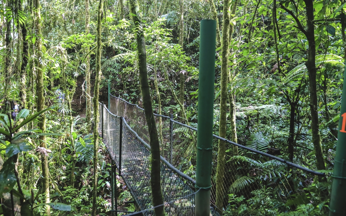 Puntarenas, Ausflug ins Naturschutzgebiet
