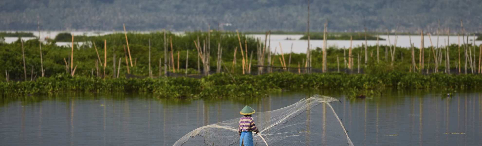 Fischer, Indonesien