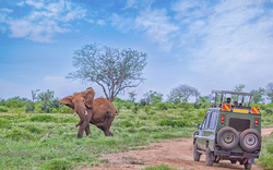 Tsavo Nationalpark