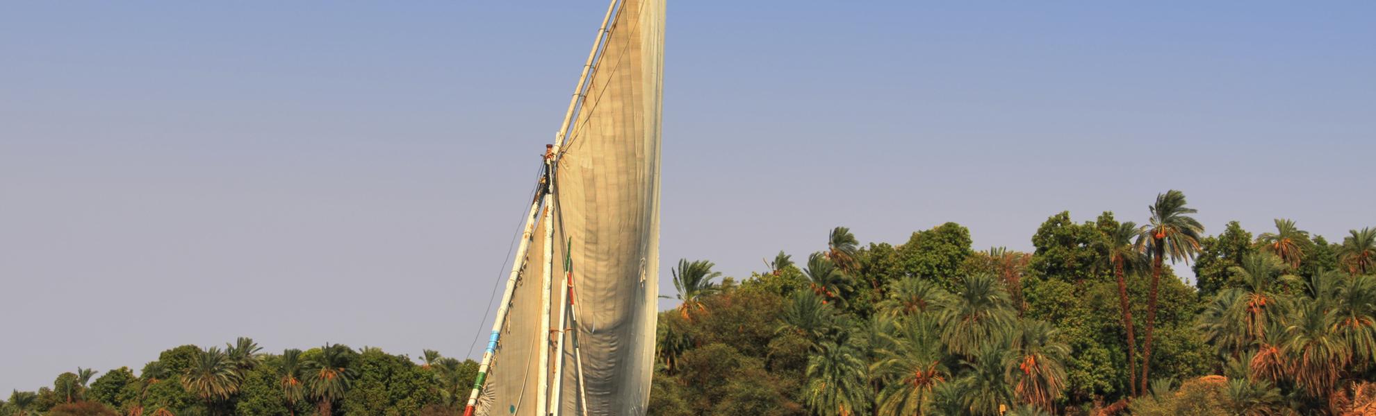 Feluke auf dem Nil vor grüner Nillandschaft im Sonnenuntergang in Ägypten