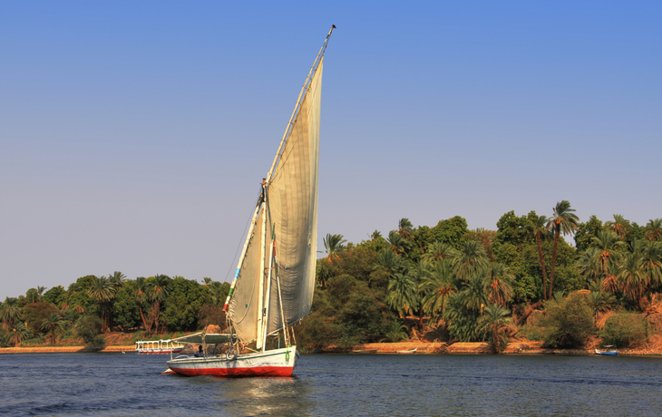 Feluke auf dem Nil vor grüner Nillandschaft im Sonnenuntergang in Ägypten