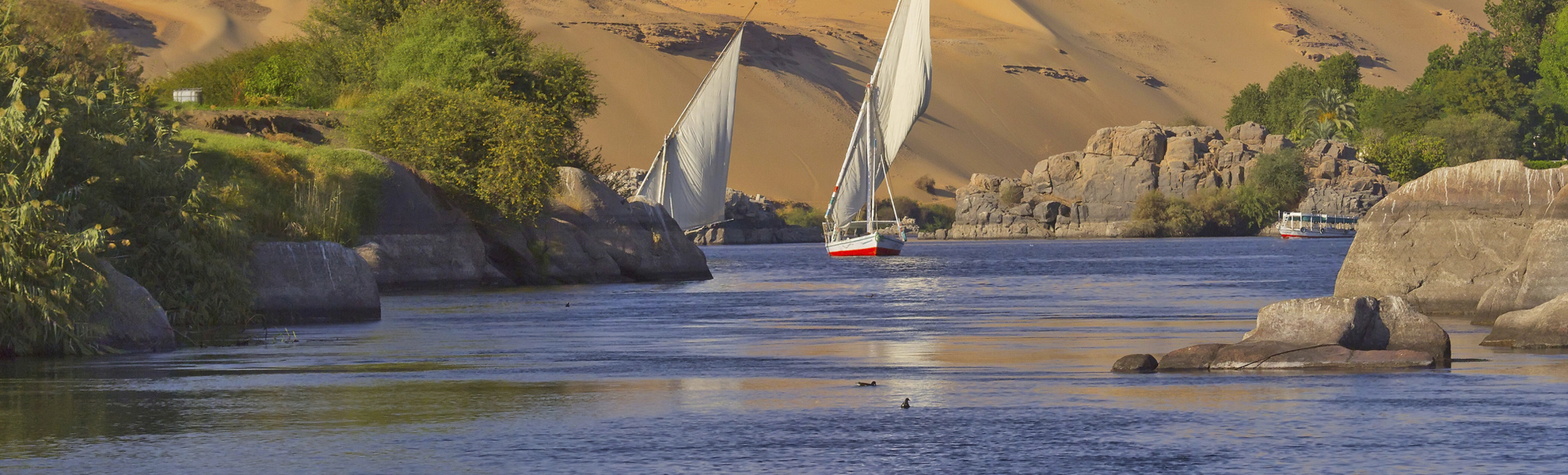 Feluken auf dem Nil vor wunderschöner Nillandschaft bei Assuan, Ägypten