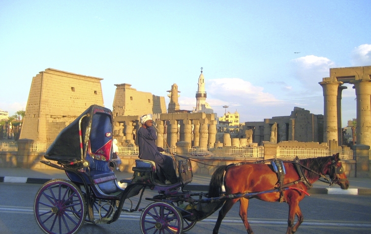 Pferdekutsche in Ägypten