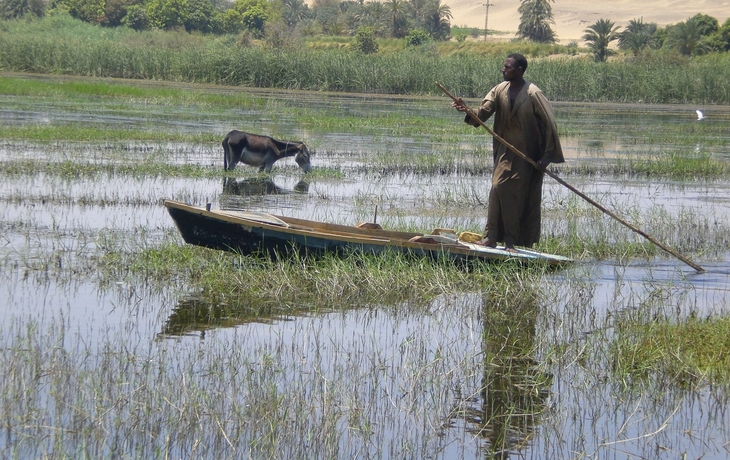 Einheimischer im Nildelta, Ägypten