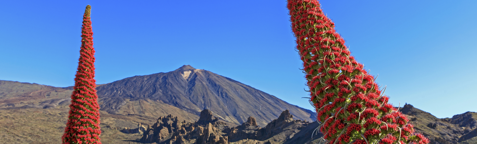 Teneriffa, Nationalpark del Teide