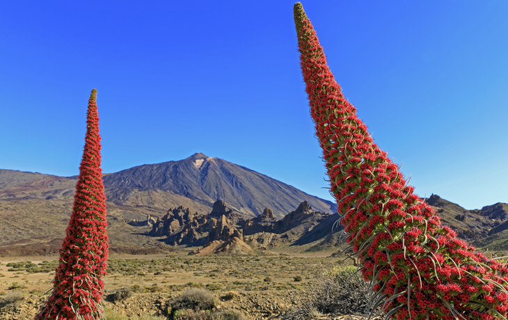 Teneriffa, Nationalpark del Teide