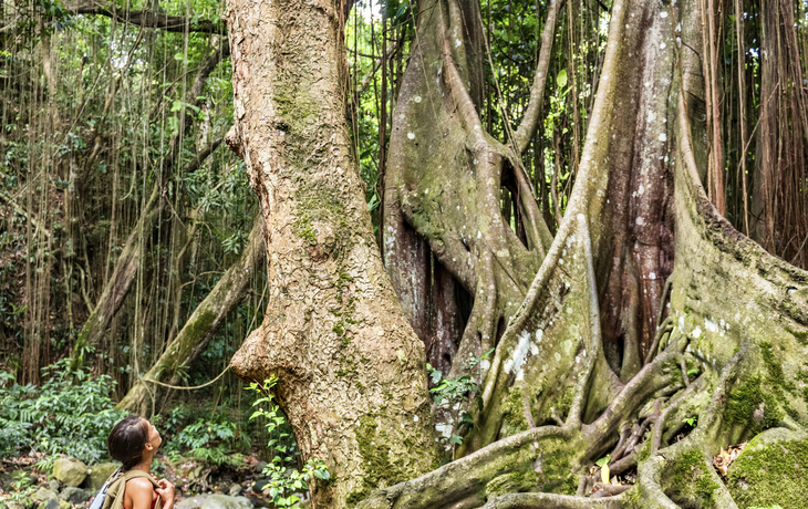 Beeindruckende Flora & Fauna
