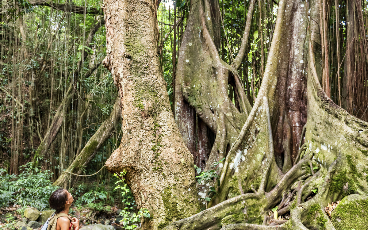 Beeindruckende Flora & Fauna