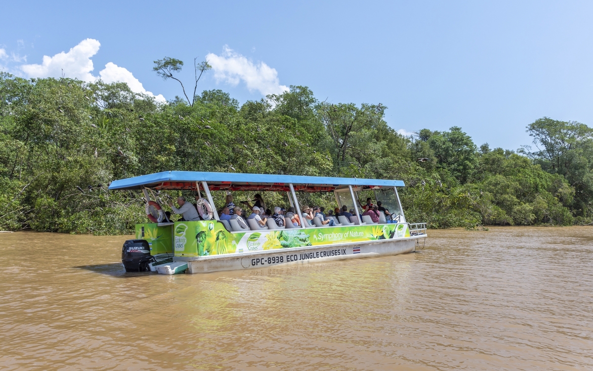 Puntarenas, Mangroventour