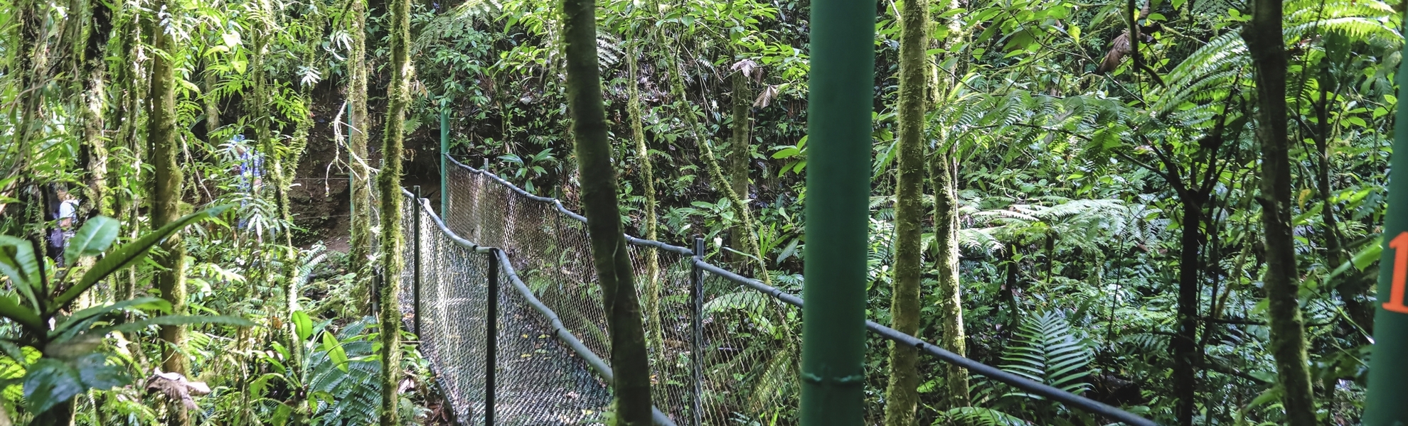 Puntarenas, Ausflug ins Naturschutzgebiet