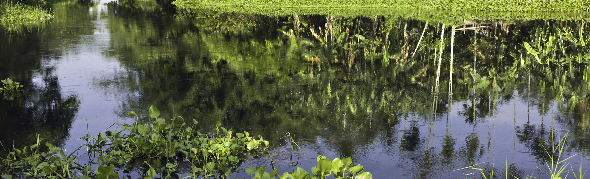 Fluss Majuli in Assam, Indien