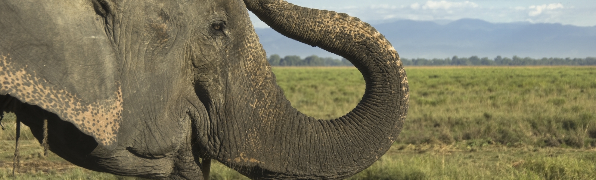 Kaziranga Nationalpark