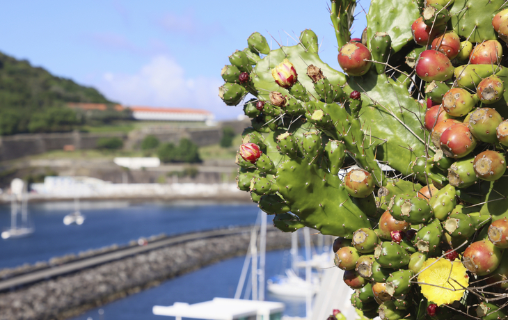 Terceira, Angra do Heroismo
