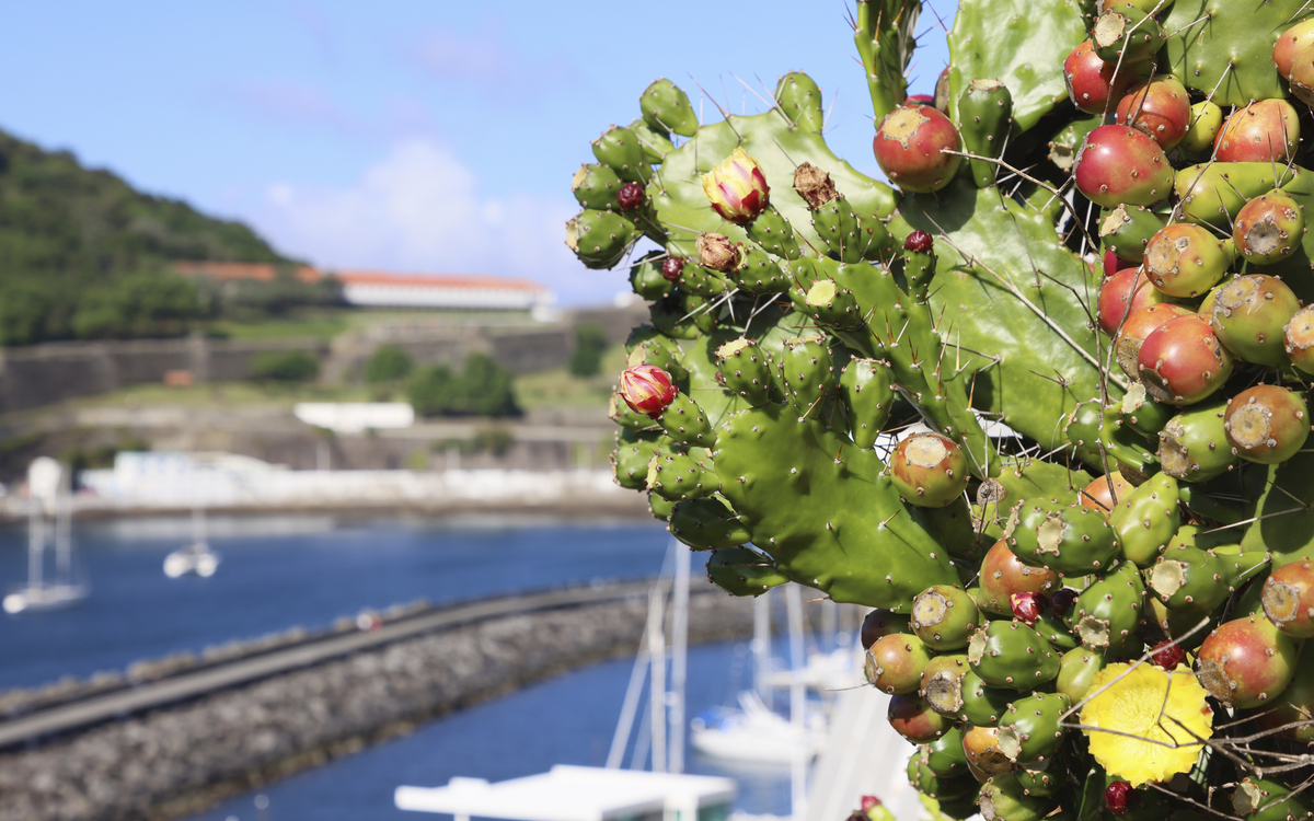 Terceira, Angra do Heroismo
