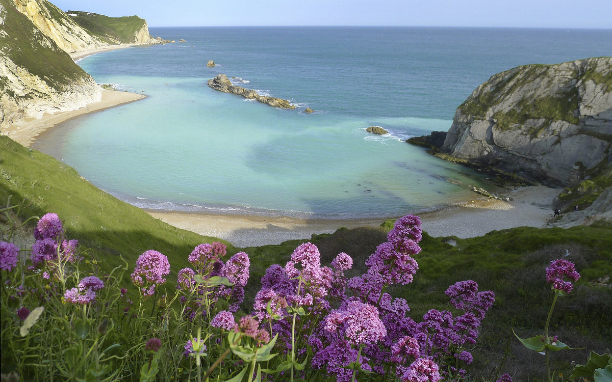Man of War Bay in Dorsets Jurassic Coast, England