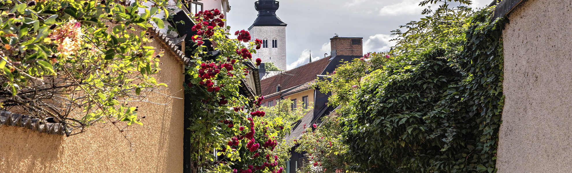 Straße in Visby, Schweden