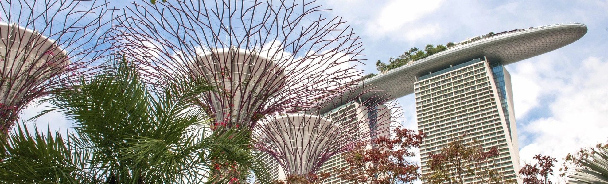 Einzigartige vertikale Gärten in Singapur
