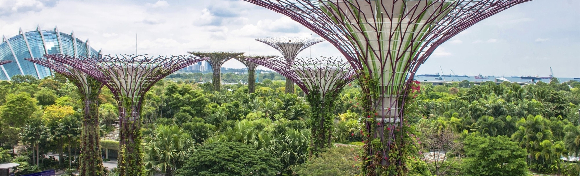 Einzigartige vertikale Gärten in Singapur