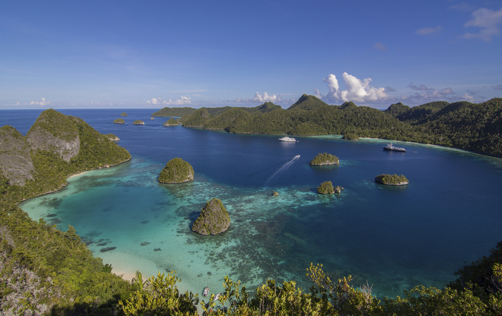 Raja Ampat Bucht, Papua Neuguinea