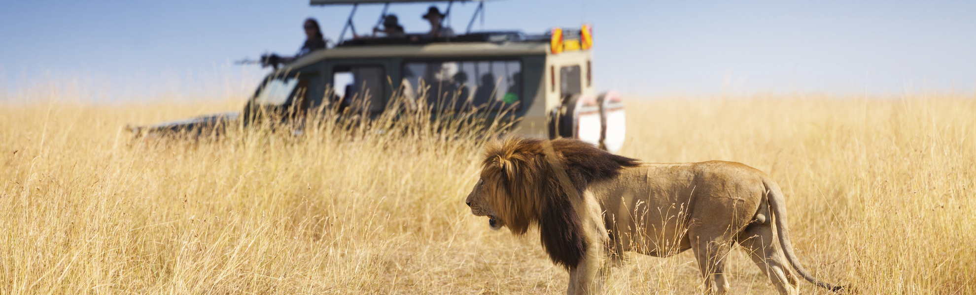 Mombasa, Safari Amboseli Park