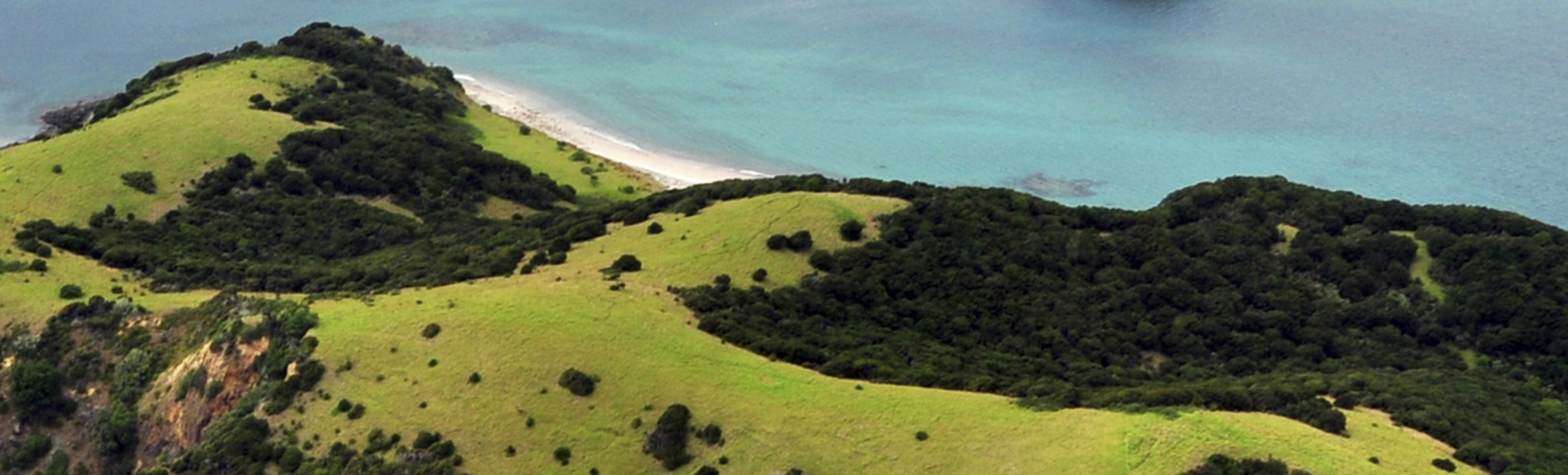 Malerische Bay of Islands