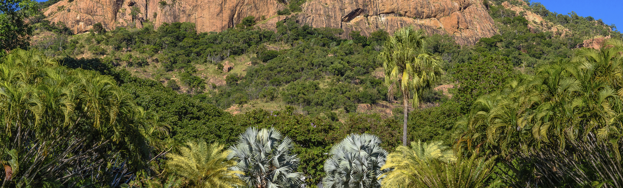 Townsville, Queens Garden