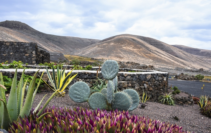 Lanzarote, Kanaren