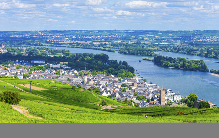 Ausblick auf die Weinfelder bei Rüdesheim, Deutschland