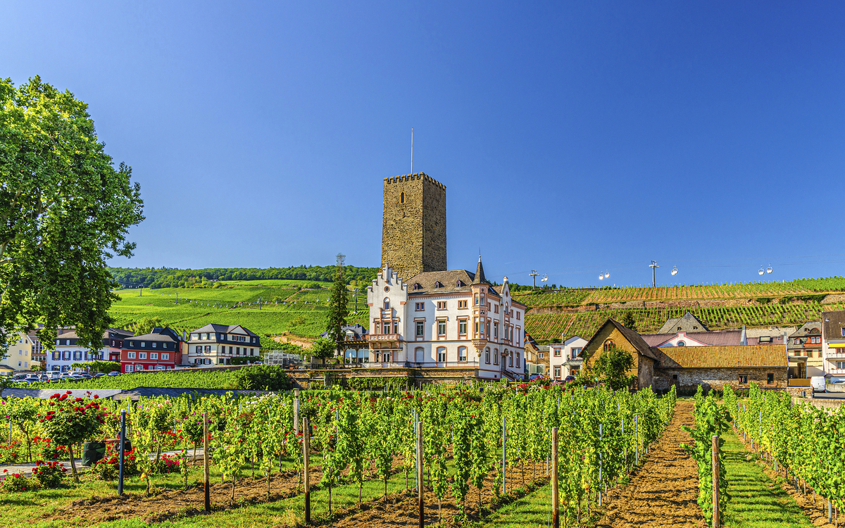 Rüdesheim