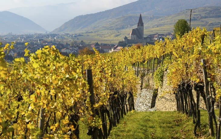 Herbst in der Wachau