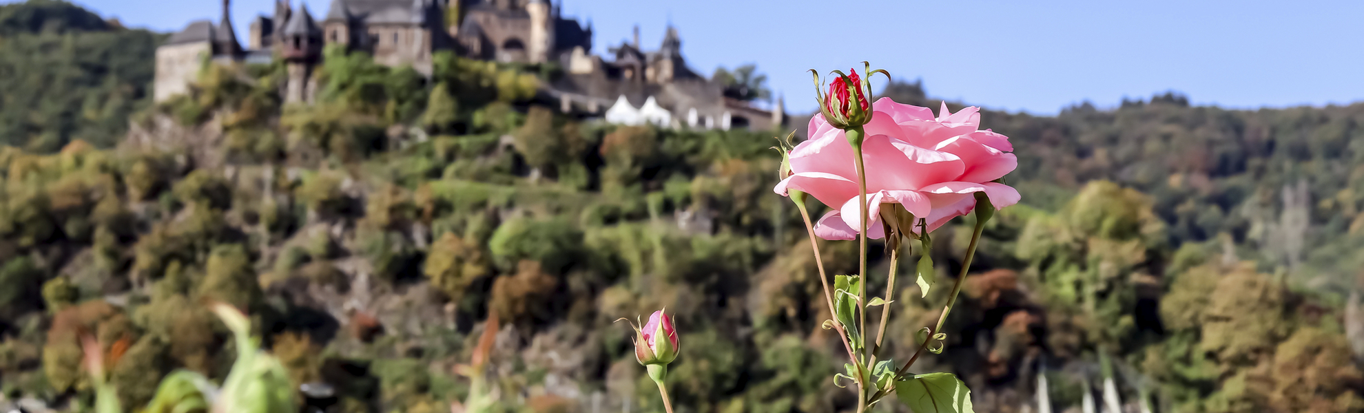 Cochem, Mosel