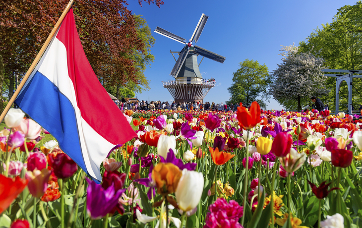 Tulpenfeld mir Landesflagge und Windmühle