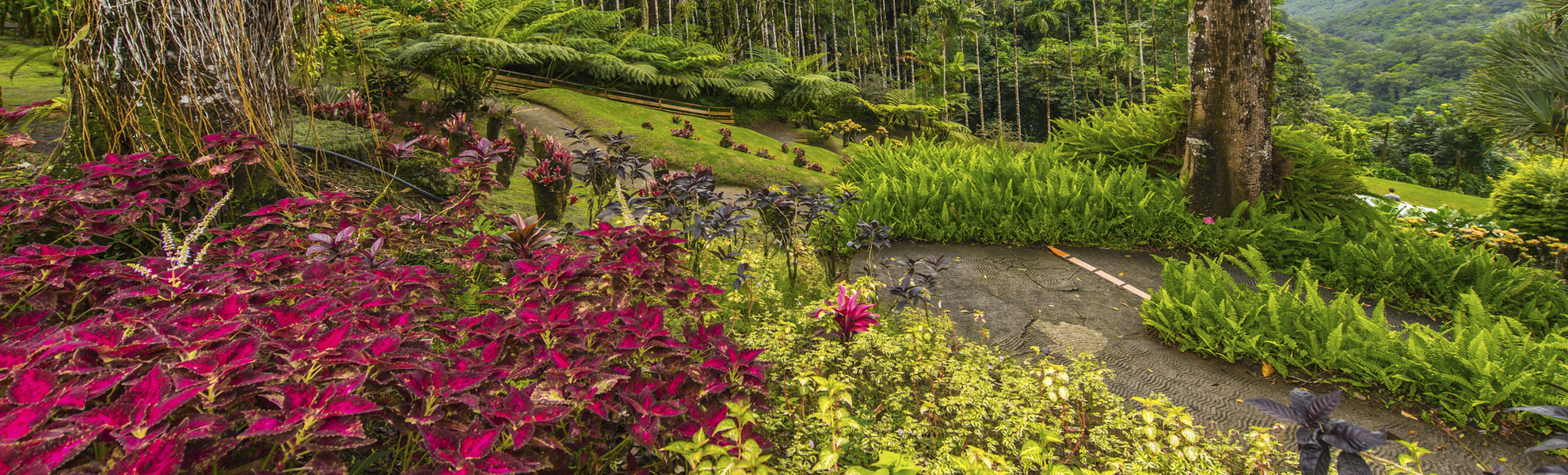 Fort de France, Botanischer Garten