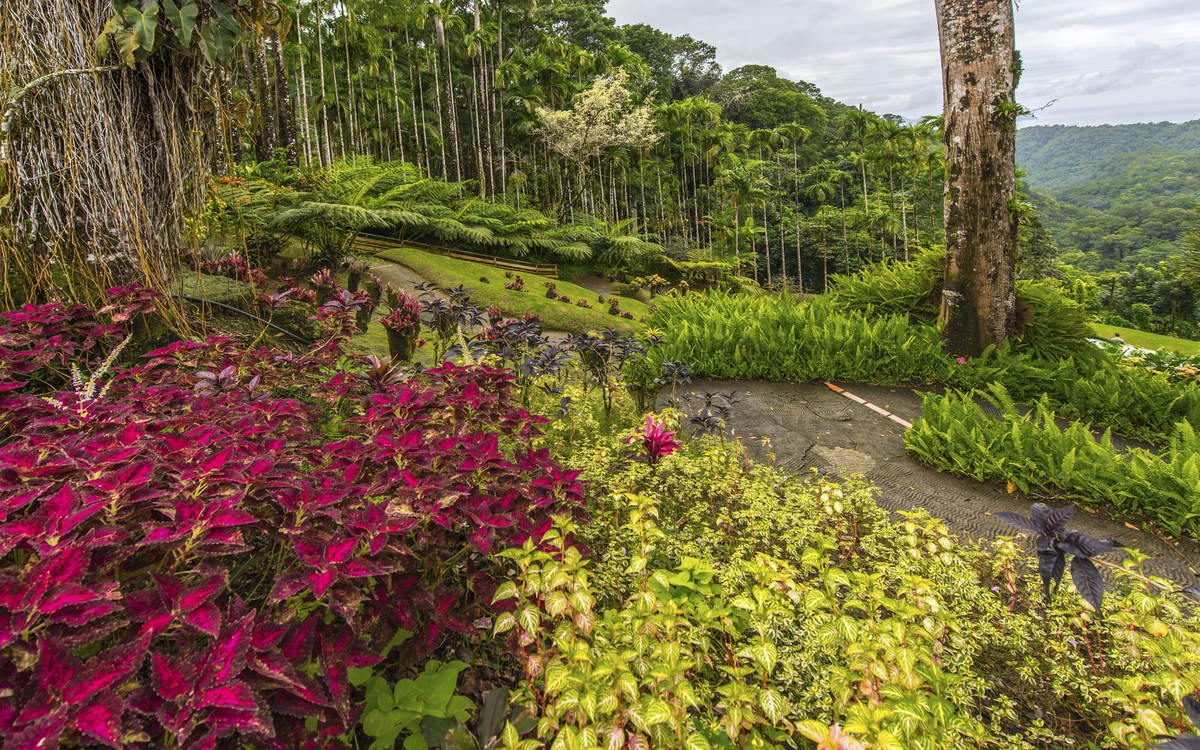 Fort de France, Botanischer Garten