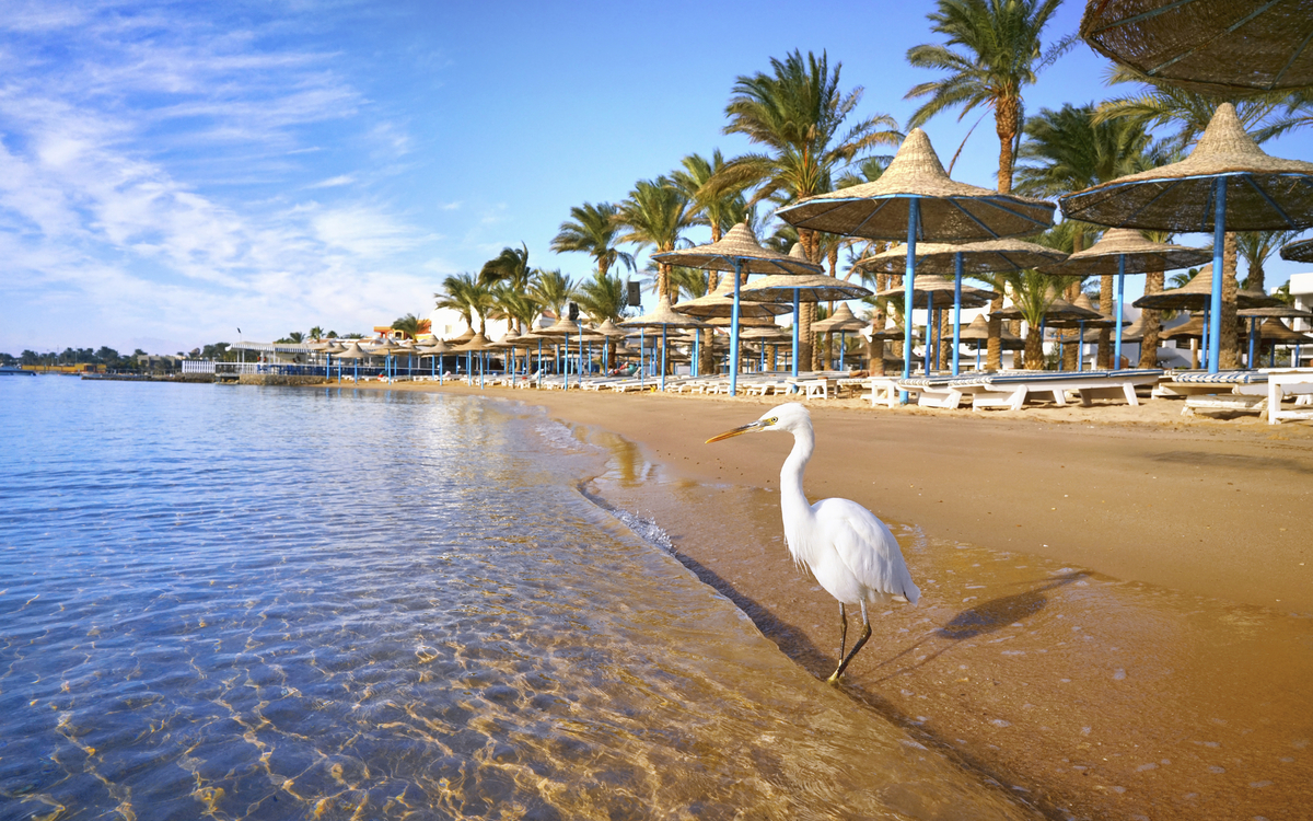 Goldener Strand in Hurghada, Ägypten
