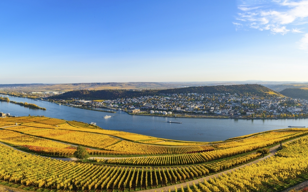 Rüdesheim