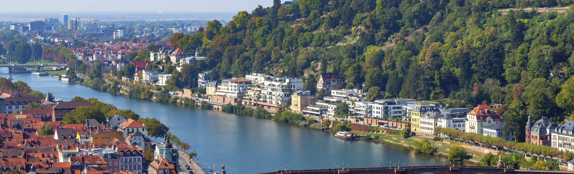 Neckar in Heidelberg